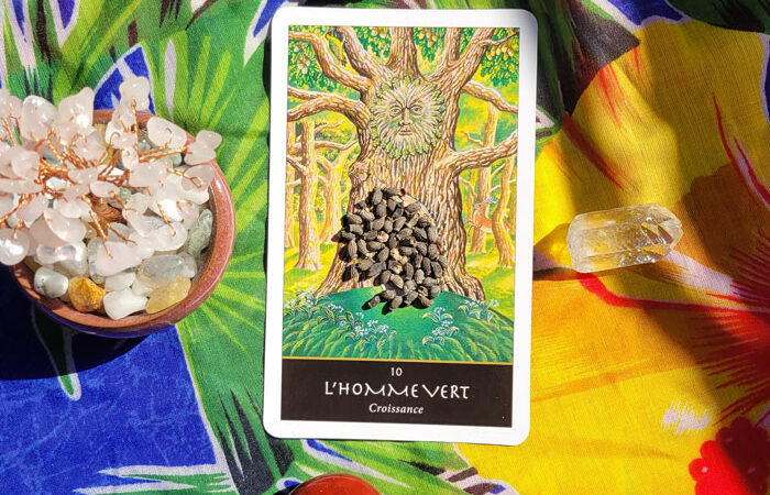 Rituel d’Ostara : semer ses intentions pour manifester en 2026