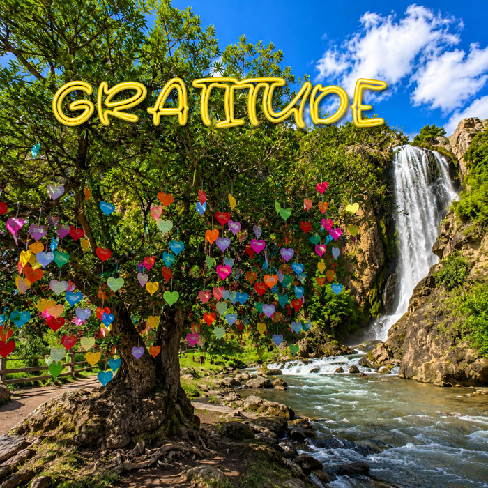 La gratitude et notre système neuronal